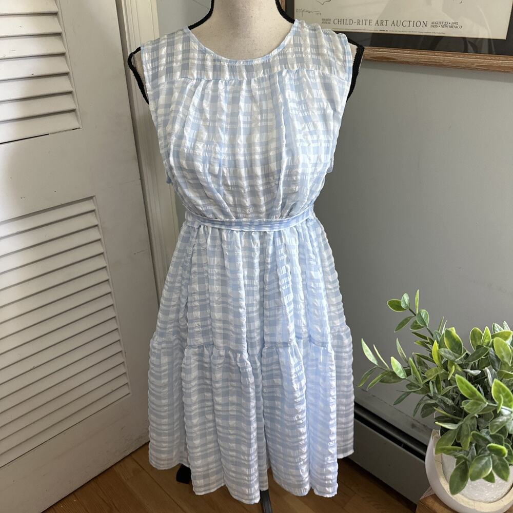 Calvin Klein Dress Womens 12 Blue Gingham Plaid Chiffon Dainty Belted Soft Girl